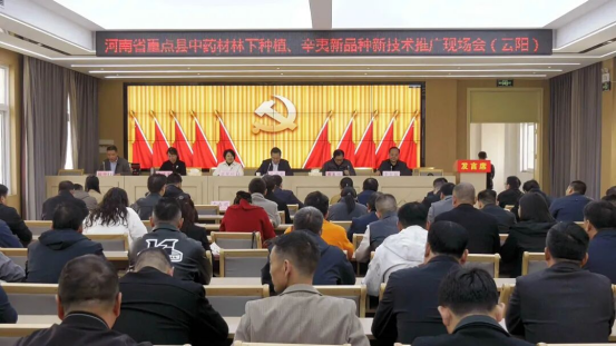南召县云阳镇：政企研携手聚力，云阳镇中药材产业再启新程